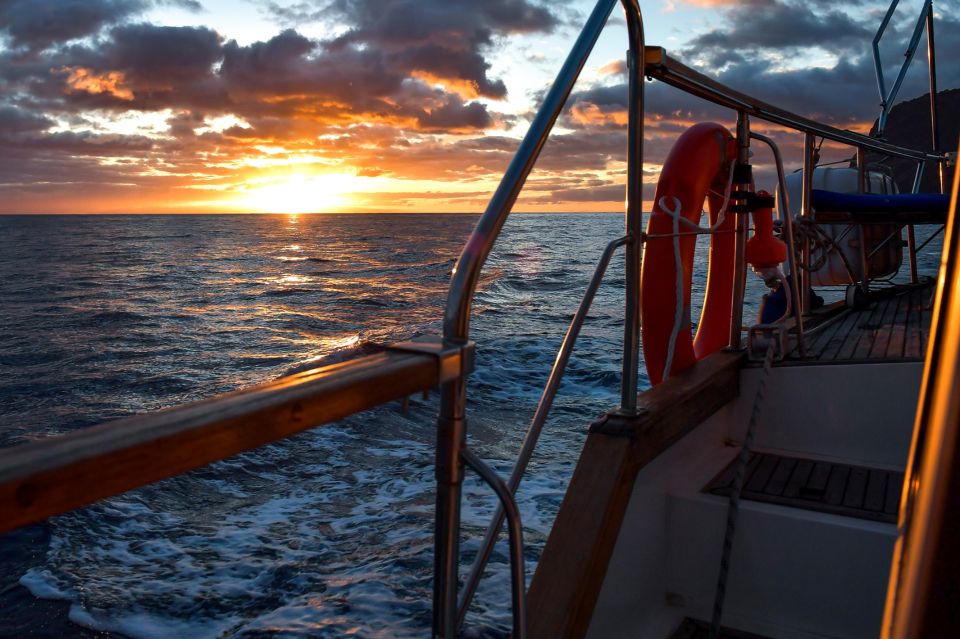 Funchal: Dolphin and Whale Watching Sunset Sailing Tour - Booking Information