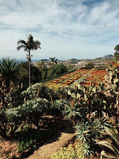 Funchal: Guided Tuk Tuk Tour and Botanical Gardens - Tour Highlights