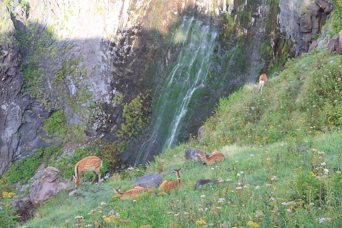 Furepe Waterfall Nature Walk - General Information