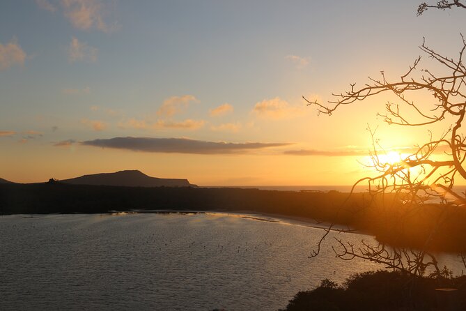 Galapagos: Small-Groups Yacht Tour to Floreana  - Santa Cruz - Common questions