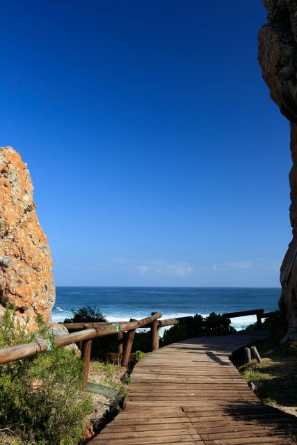 Garden Route Tour, A Garden Route Odyssey - Booking Flexibility and Payment Options