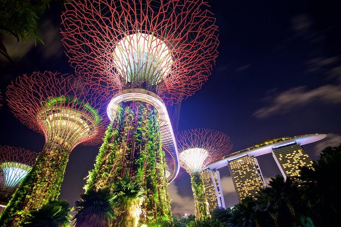 Gardens By The Bay Night Long-Exposure Photography - Mastering Aperture for Night Shots