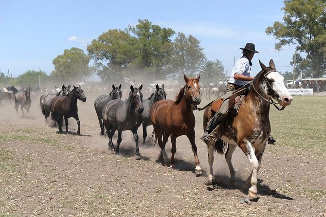 Gaucho Day Trip From Buenos Aires: Don Silvano Ranch - Exciting Activities for Every Visitor