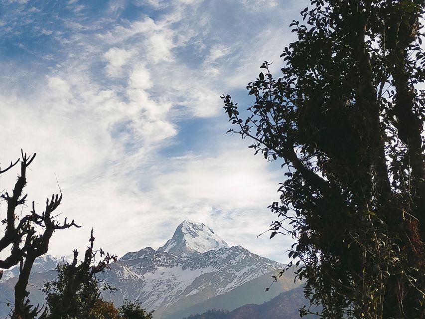 Ghorepani Poon Hill Trek - Trek Experience