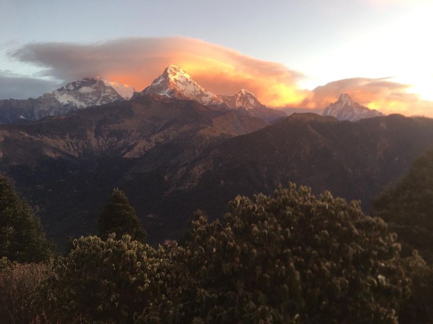 Ghorepani Poonhill Family Tour 5 Days - Booking Details