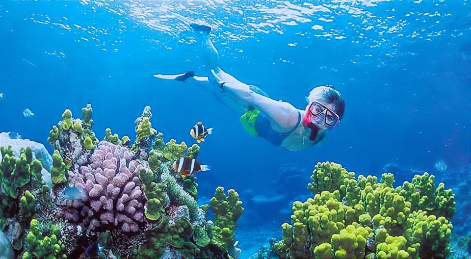 Gili Islands Snorkeling Adventure - Full Adventure Description