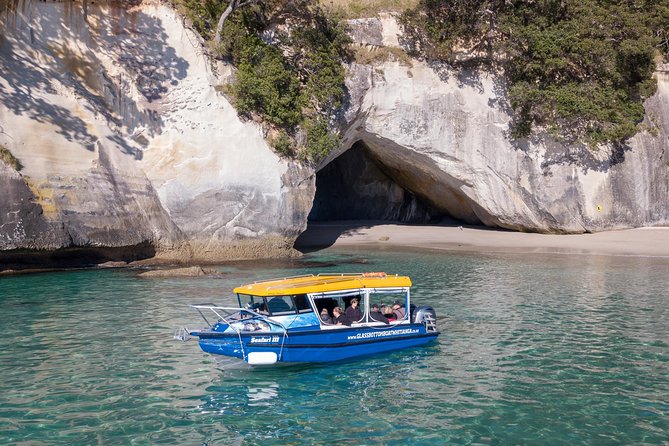 Glass Bottom Boat Whitianga Cathedral Cove Cruise - Additional Logistics