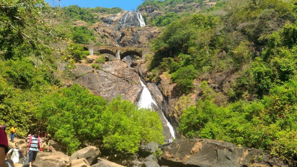 Goa: Dudhsagar Waterfall & Spice Farm Tour With Jeep Safari - Review Summary