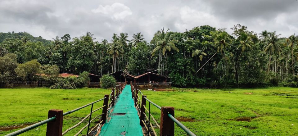 Goa: Spice Plantation Tour and Traditional Local Lunch - Review Summary