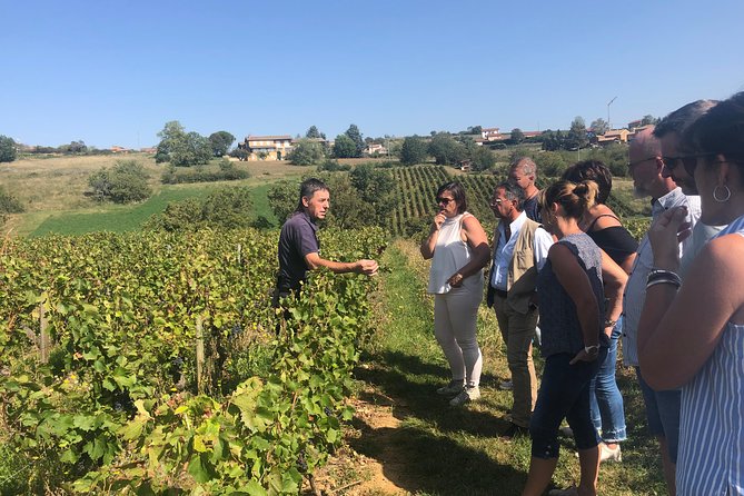 Golden Stones Beaujolais Wine Tour With Tastings From Lyon - Tour Overview