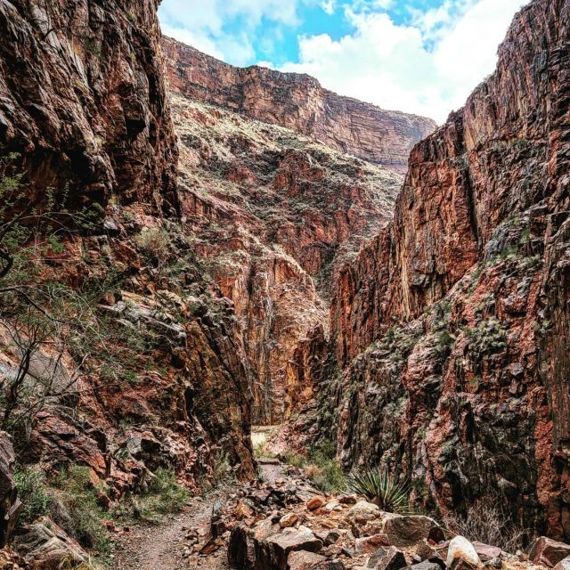 Grand Canyon Backcountry Hiking Tour to Phantom Ranch - Experience Highlights and Itinerary