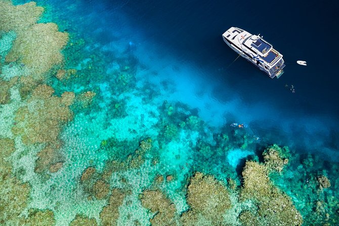 Great Barrier Reef Diving and Snorkeling Cruise From Cairns - Customer Recommendations