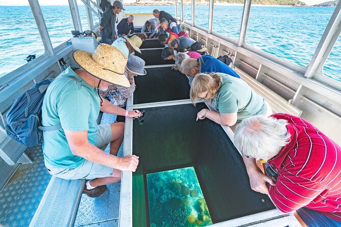 Great Keppel Island Adventure Tour - Snorkel and Boomnet - Additional Tour Information