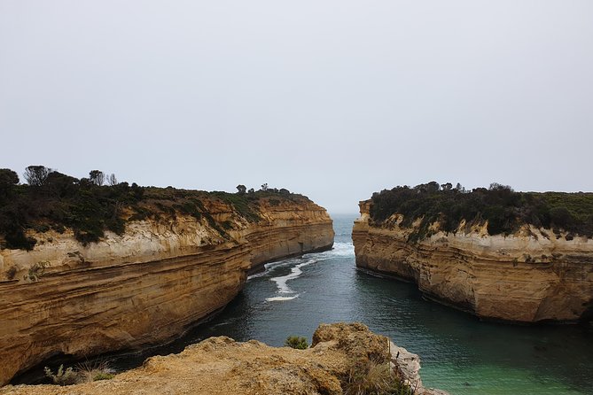 Great Ocean Road 12 Apostles Tour - Wildlife Encounters