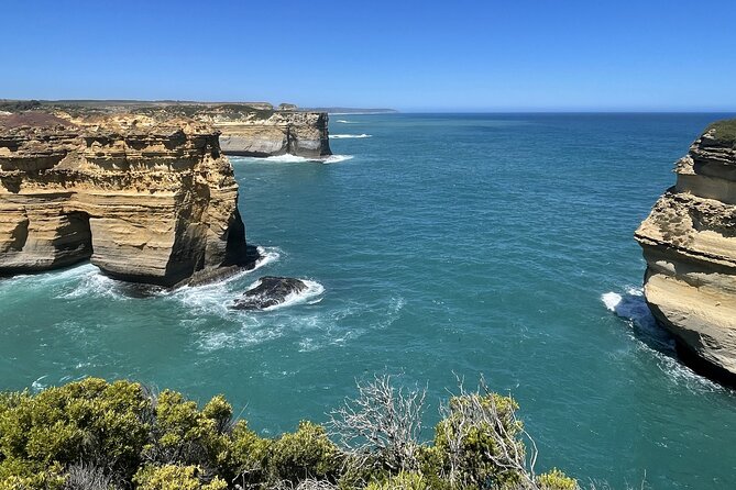 Great Ocean Road Morning at 12 Apostles Scenic Melbourne Day Tour - Local Wildlife