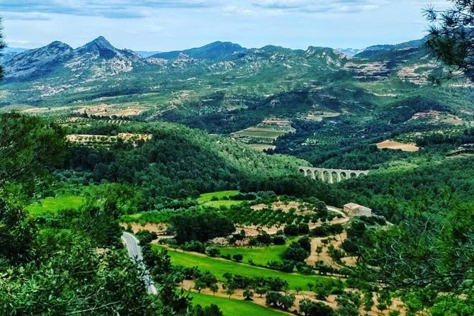Greenway Section Cretas - Horta De Sant Joan 11km (90% Descending 10% Flat) - Customer Support