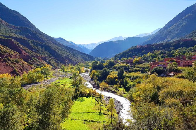 Group Shared Day Tour to Ourika Valley & Atlas Mountains - Traveler Reviews and Ratings