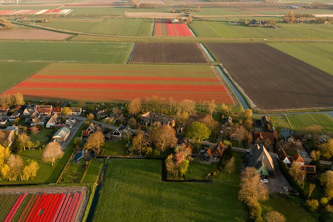 Guided Bike Tour Along the Dutch Tulip Fields in Noord Holland - Booking Information