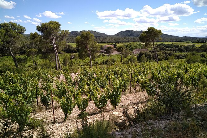 Guided Electric Bike Tours With Tasting in Pic Saint Loup - Reviews and Ratings