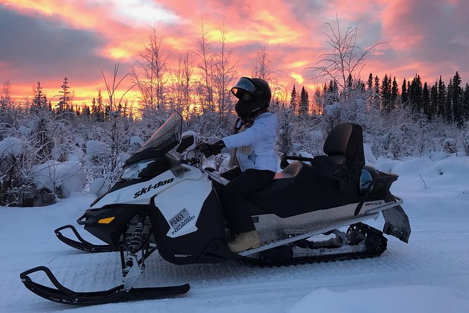 Guided Fairbanks Snowmobile Tour - Guide and Staff Feedback