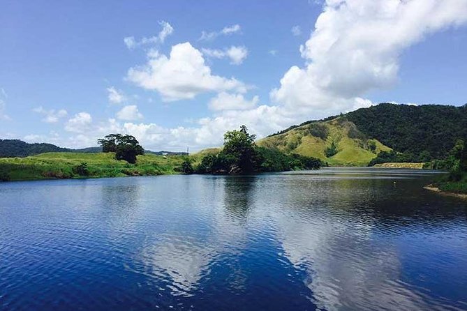 Guided Half-Day Tour of Daintree Rainforest  - Port Douglas - Rainforest Walk