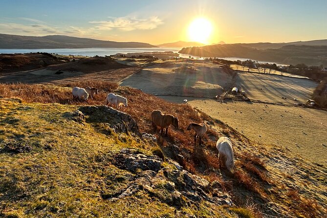 Guided Hebridean Farm Hike Near Tobermory, Isle of Mull, Scotland - Additional Activity Information