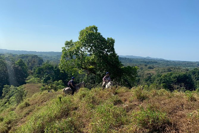 Guided Horseback Riding Tour in Manuel Antonio  - Quepos - Reviews and Recommendations