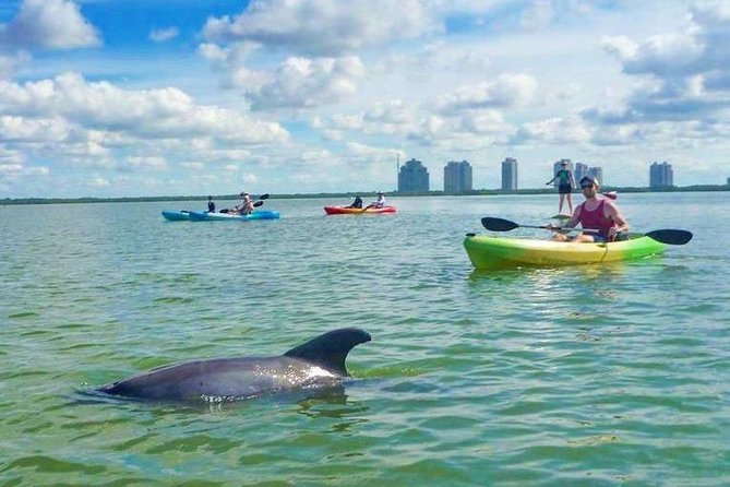 Guided Island Eco Tour - CLEAR or Standard Kayak or Board - Participant Limitations