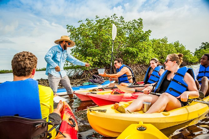 Guided Kayak Mangrove Ecotour in Rookery Bay Reserve, Naples - Visitor Experiences and Recommendations