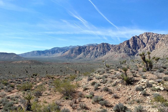 Guided Mountain Bike Tour of Mustang Trail in Red Rock Canyon - Customer Feedback