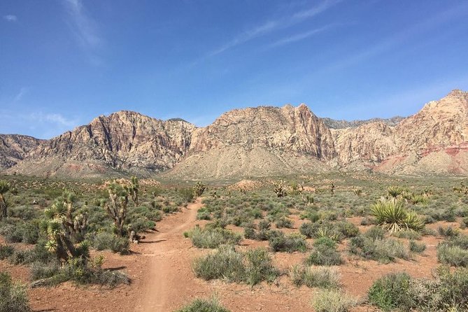 Guided or Self-Guided Road Bike Tour of Red Rock Canyon - What To Expect