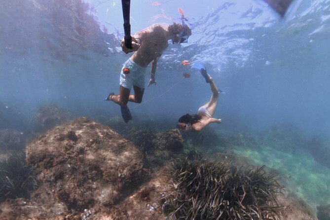 Guided Snorkeling in a Secret Spot of Begur, Costa Brava - Explore Marine Life