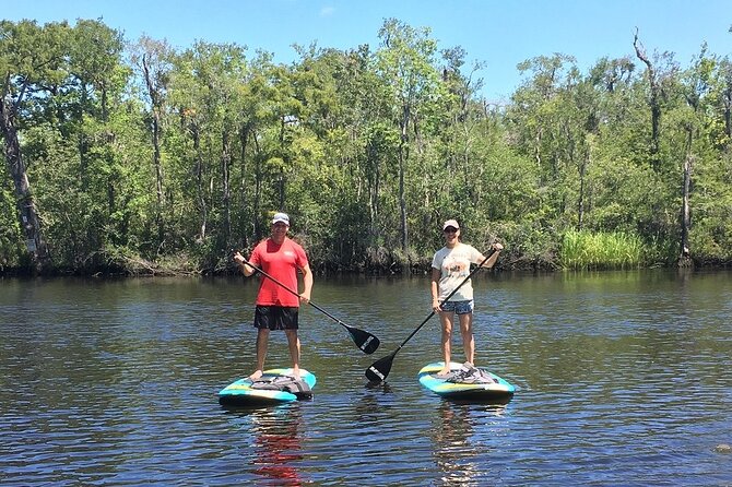 Guided Stand-Up Paddleboard - Expectations