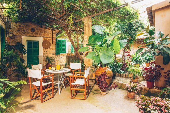 Guided Tasting Tour in 16th Century House and Olive Oil Factory - Accessibility and Logistics