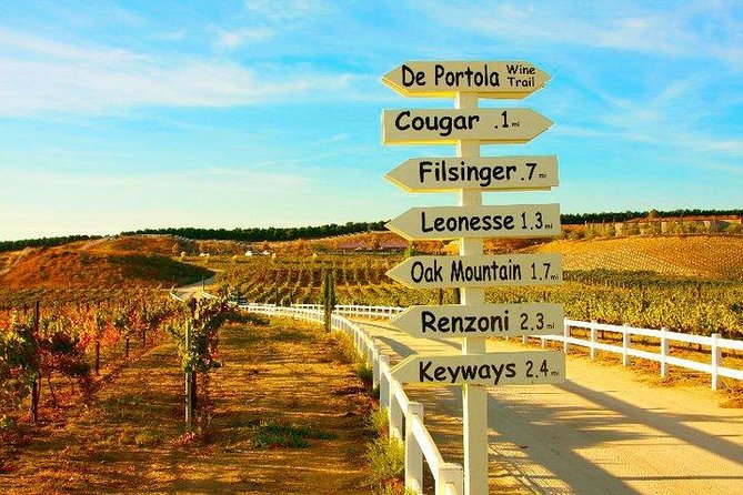 Guided Temecula Wine Tour From San Diego - Customer Experiences and Recommendations