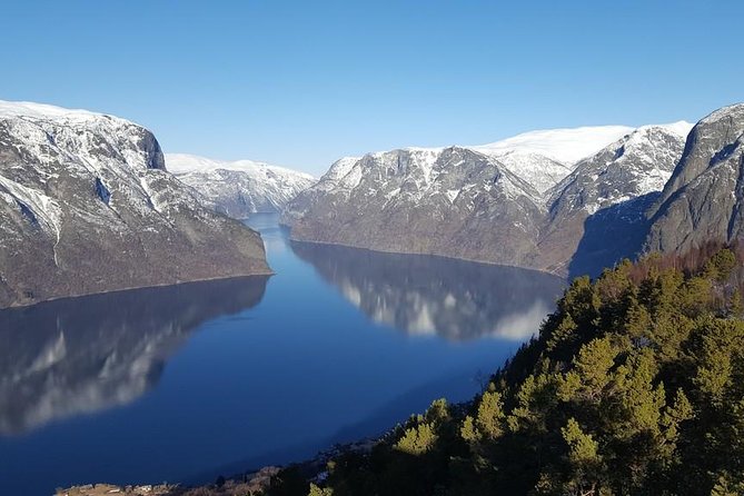 Guided Tour - Bergen Railway, Nærøyfjord Cruise & Flåm Railway - Cancellation Policy