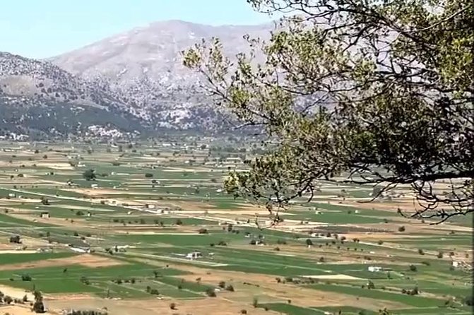 Guided Tour to Lasithi Plateau - Reviews