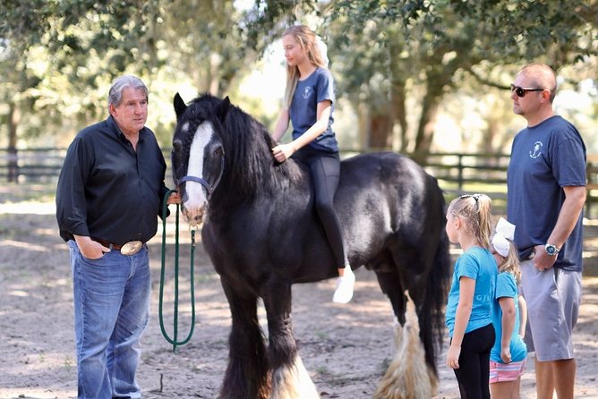 Gypsy Gold Horse Farm Tour - Logistics and Booking