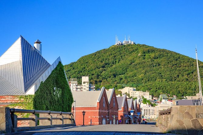 Hakodate Full-Day Private Tour With Government-Licensed Guide - Traveler Reviews