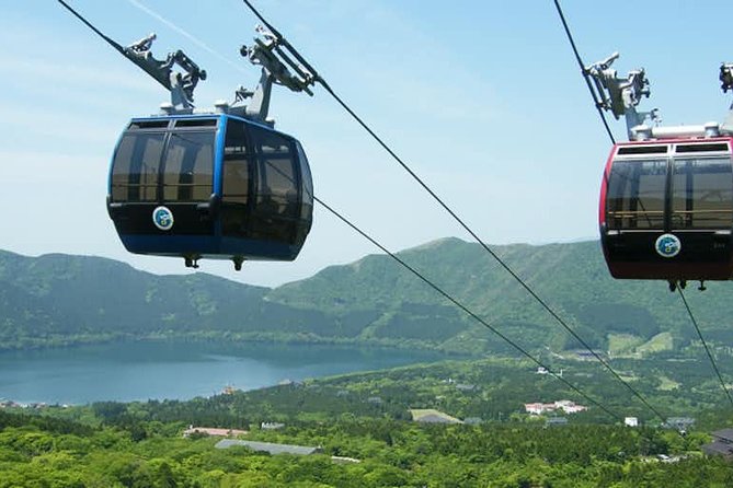 Hakone 8 Hour Private Tour With Government-Licensed Guide - Cancellation Policy and Refunds