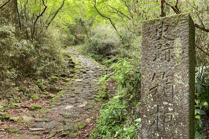 Hakone Old Tokaido Road and Volcano Half-Day Hiking Tour - Meeting Point Details