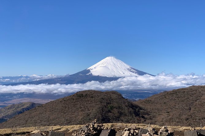 Hakone Private One Day Tour From Tokyo: Mt Fuji, Lake Ashi, Hakone National Park - Booking Tips and Recommendations