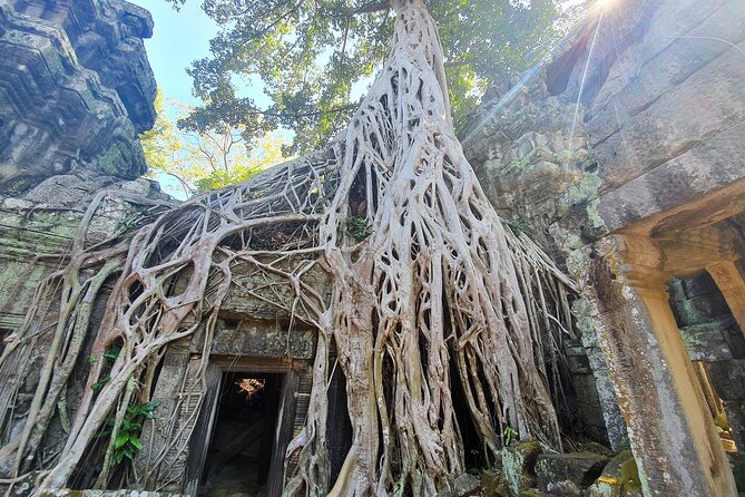 Half Day Birding in Angkor Wat - Best Birding Spots