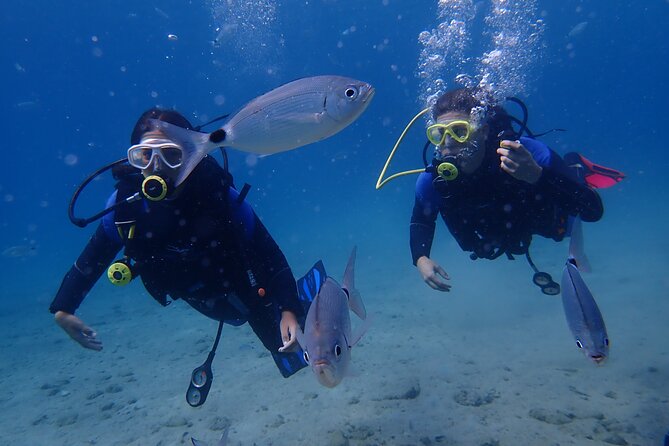 Half Day Boat Diving Experience in Kos Greece - Equipment Provided