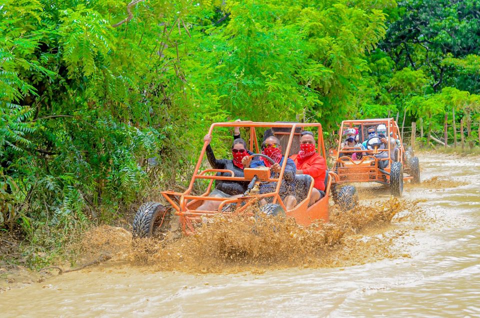 Half Day Buggy Tour Playa Macao - Inclusions
