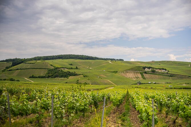 Half-Day Champagne Tour With a Vintage Van From Epernay - Scenic Routes and Stops