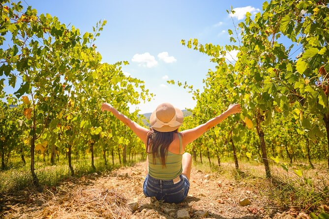 Half Day Chianti Vineyard Escape From Florence With Wine Tastings - Experience Highlights