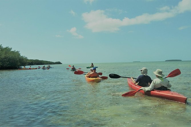 Half-Day Cruise From Key West With Kayaking and Snorkeling - End Point and Logistics