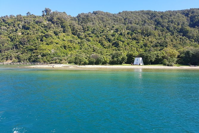 Half-Day Cruise in Marlborough Sounds From Picton - Traveler Reviews and Tips