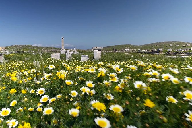 Half-Day Delos Tour From Mykonos - Tour Experience